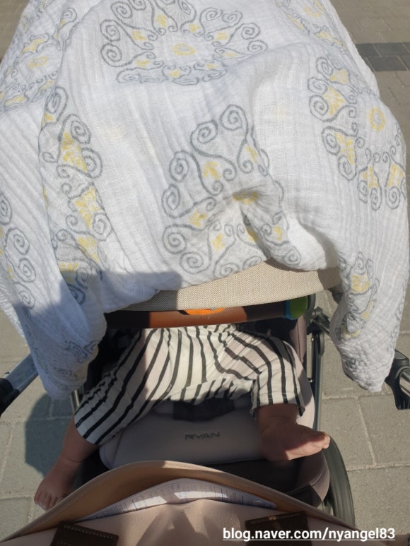 읍천리382신 이미지