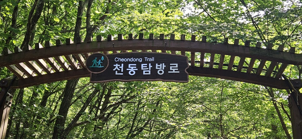 소백산국립공원 천동계곡코스 이미지