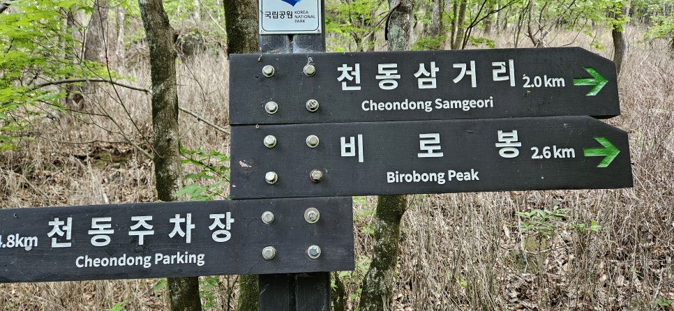 소백산국립공원 천동계곡코스 이미지