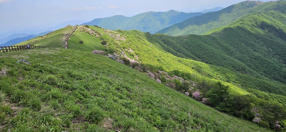 소백산국립공원 천동계곡코스 이미지