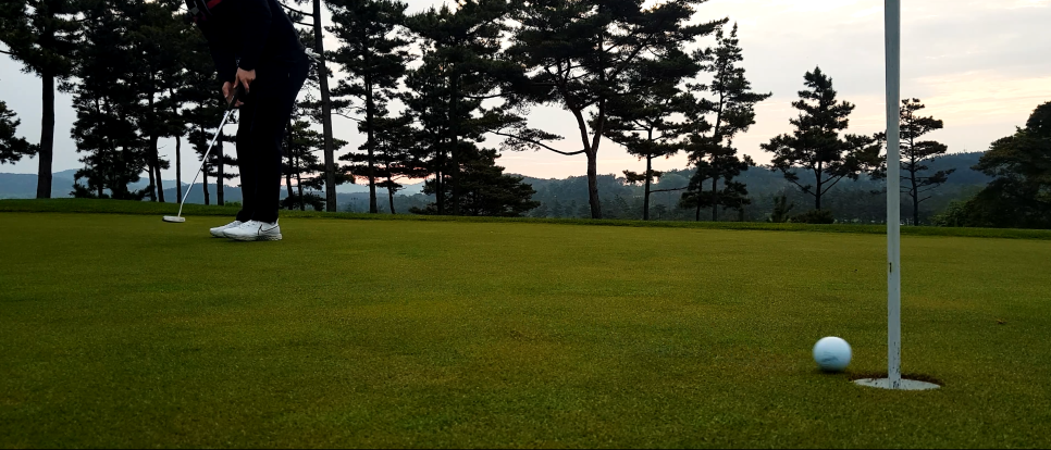 1865골프 이미지