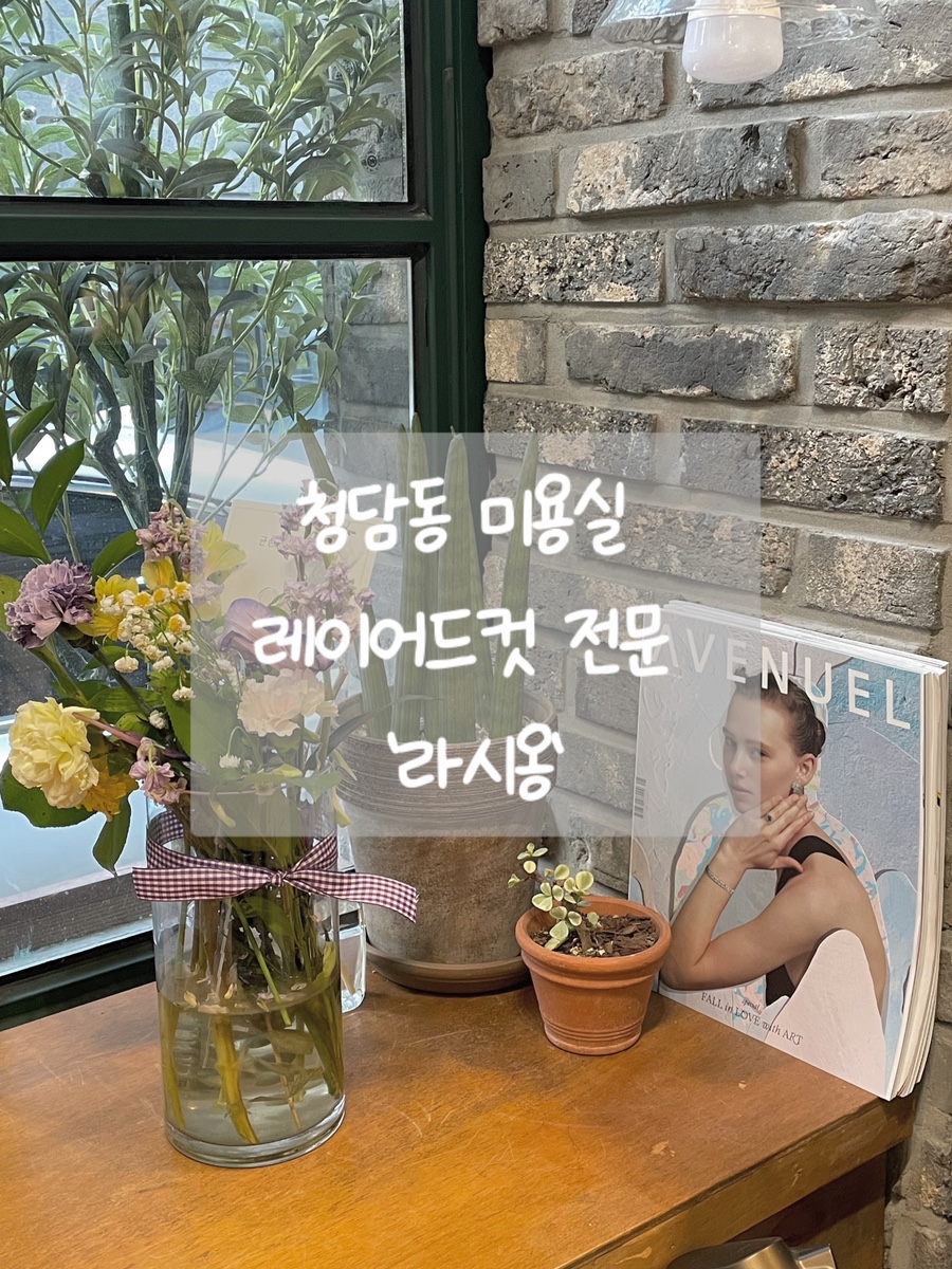 라시옹 이미지