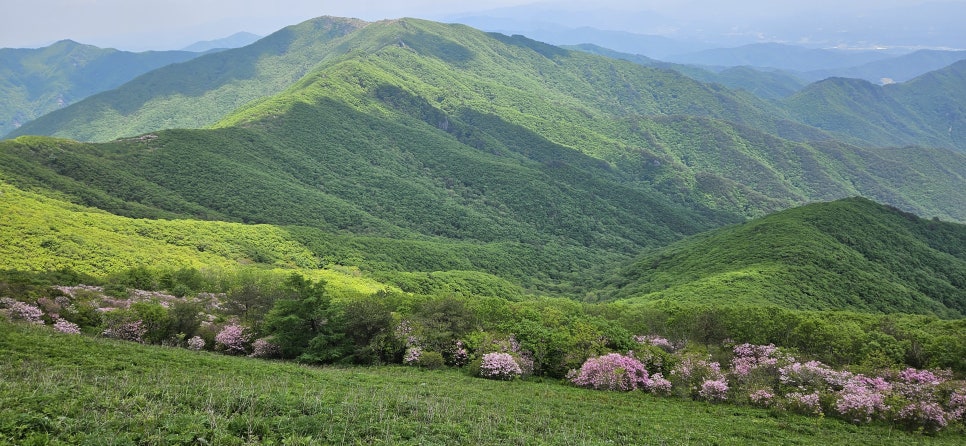 소백산국립공원 천동계곡코스 이미지