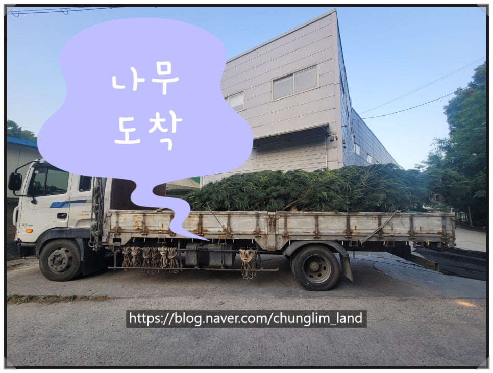 청림조경공사 이미지