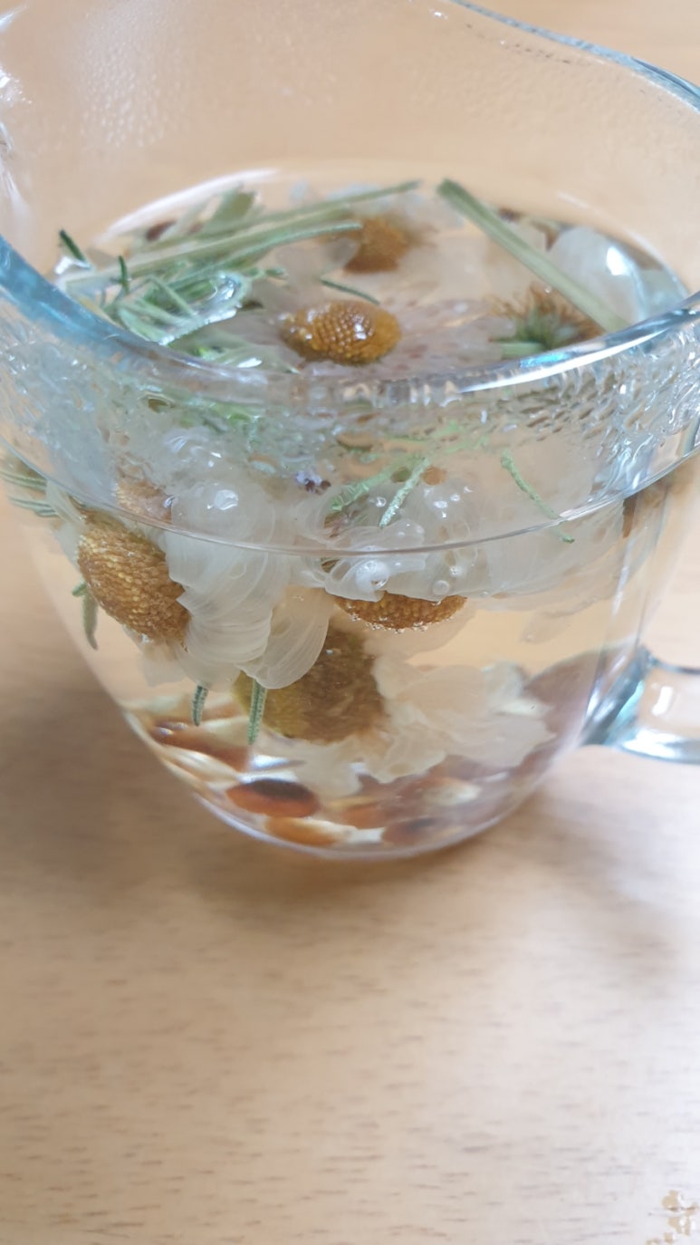 콩부리네 이미지