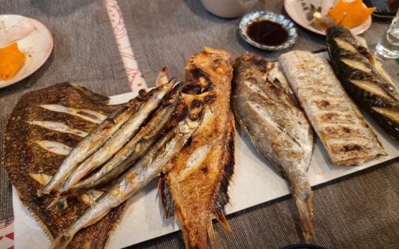 어리숙회 이미지