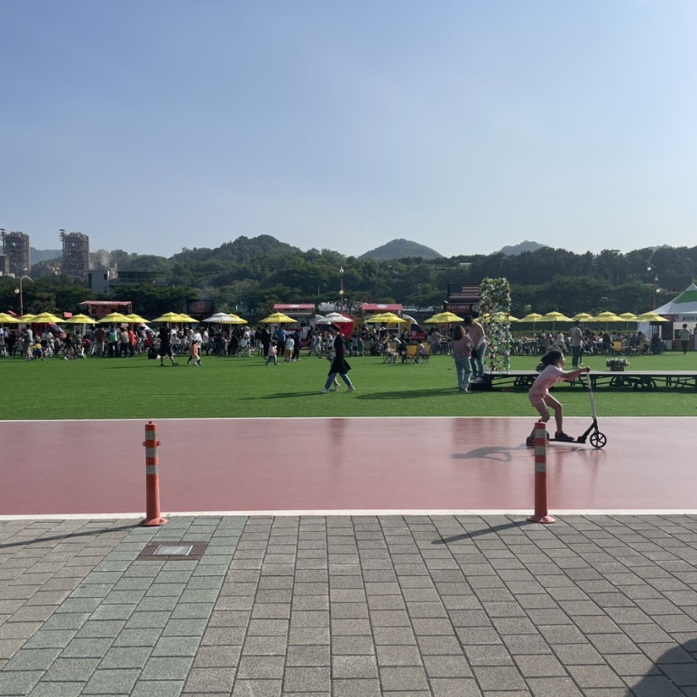 바이킹푸드 이미지