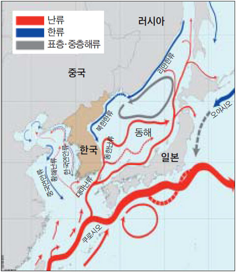 서해건어물 이미지
