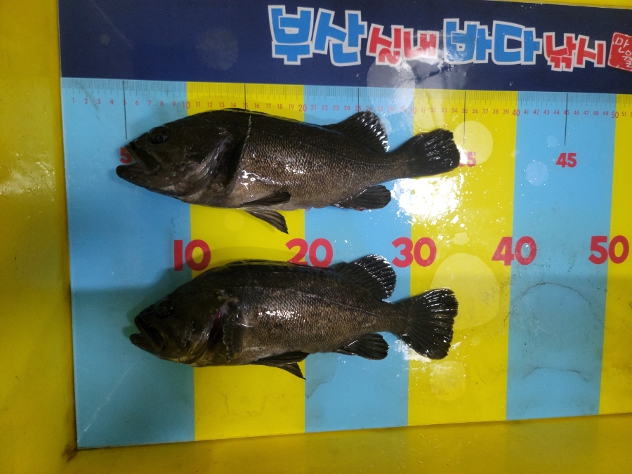 부산실내바다낚시터 이미지