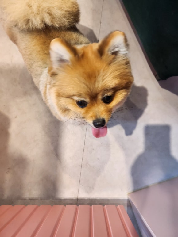 열방꼬막짬뽕 이미지