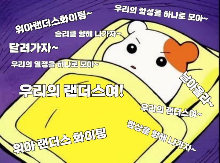 르쎄 이미지