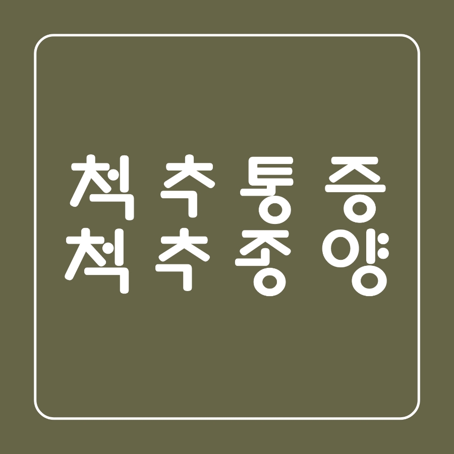 서라벌정형외과 이미지