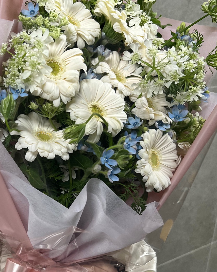 이화화훼 이미지