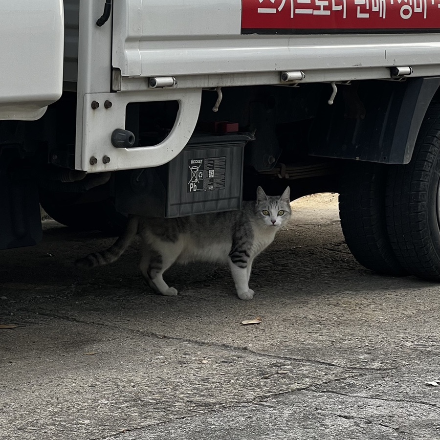 리멤버스터디카페 이미지