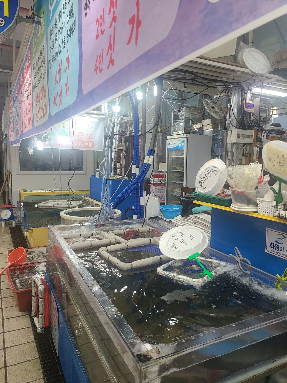 나루터수산 이미지