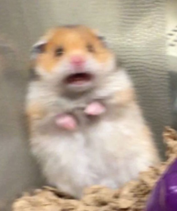 보릿돌카페 이미지