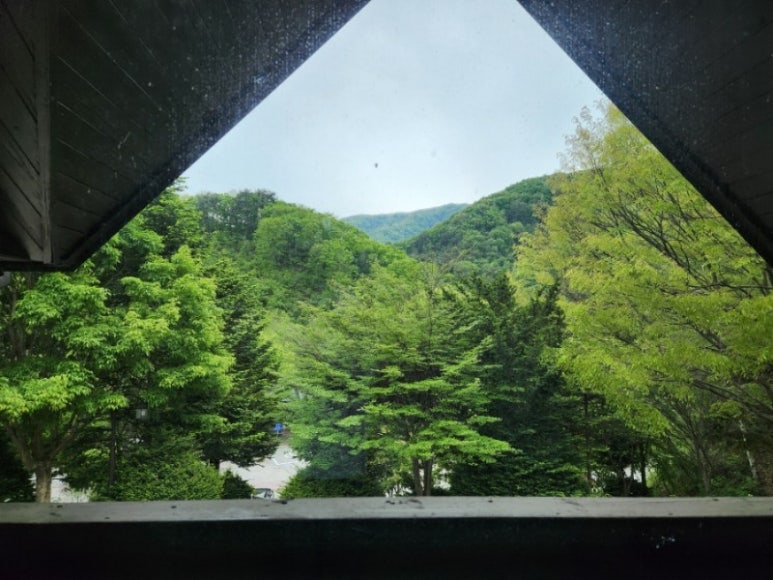 국립복주산자연휴양림 이미지