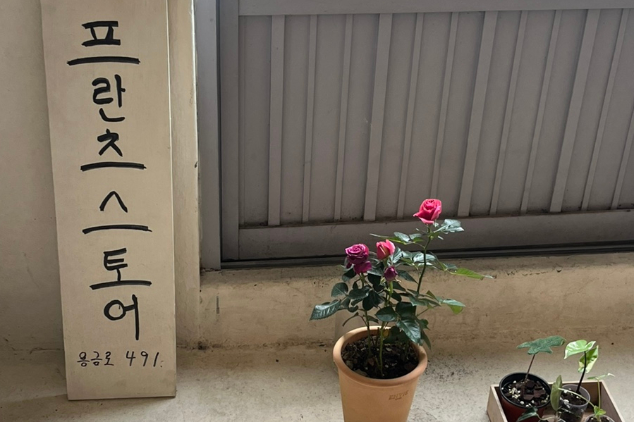 프란츠스토어 이미지