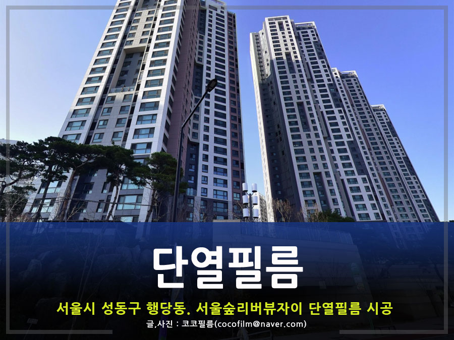 썬가드공식총판코코필름 이미지