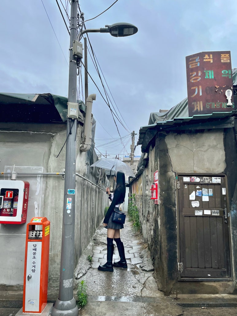 팜므슈 이미지