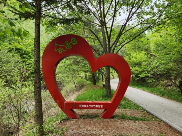 국립복주산자연휴양림 이미지