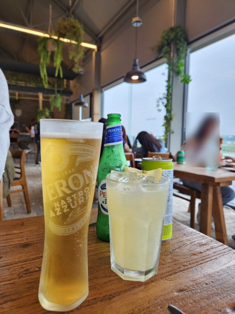 핏제리아수플리 이미지