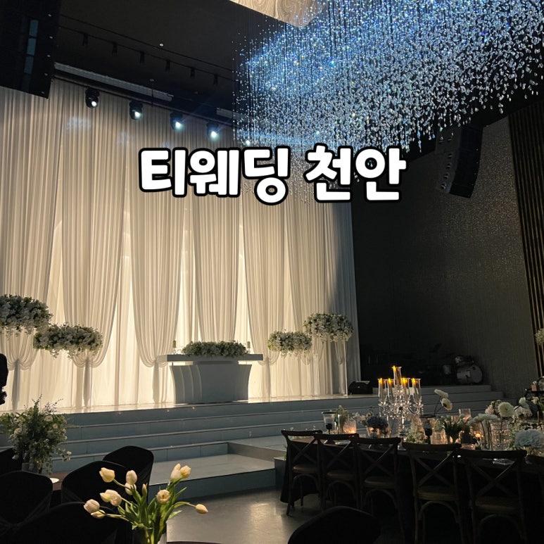 티지인투어 이미지