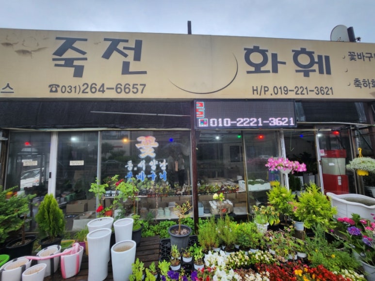 죽전화훼 이미지