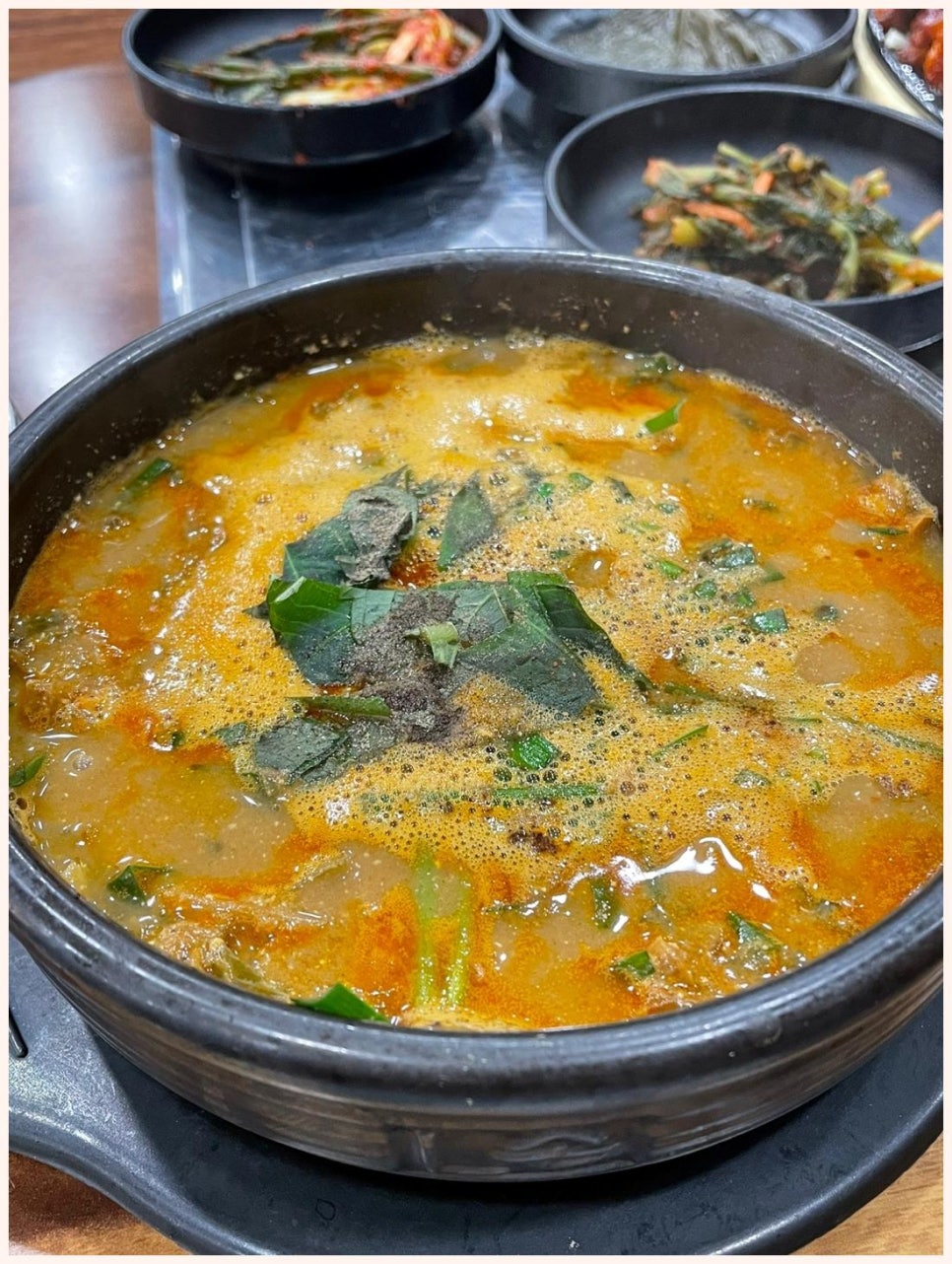 별난장어 이미지