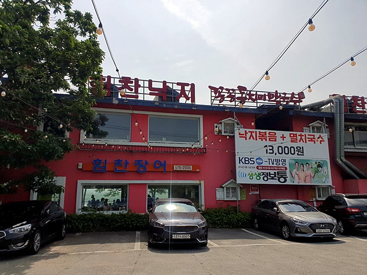 힘찬장어 이미지