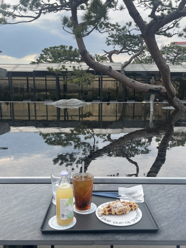 송강리조텔 이미지