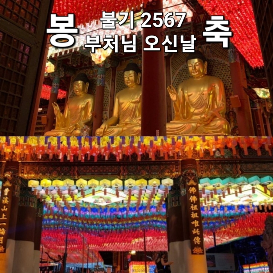 오*신 이미지