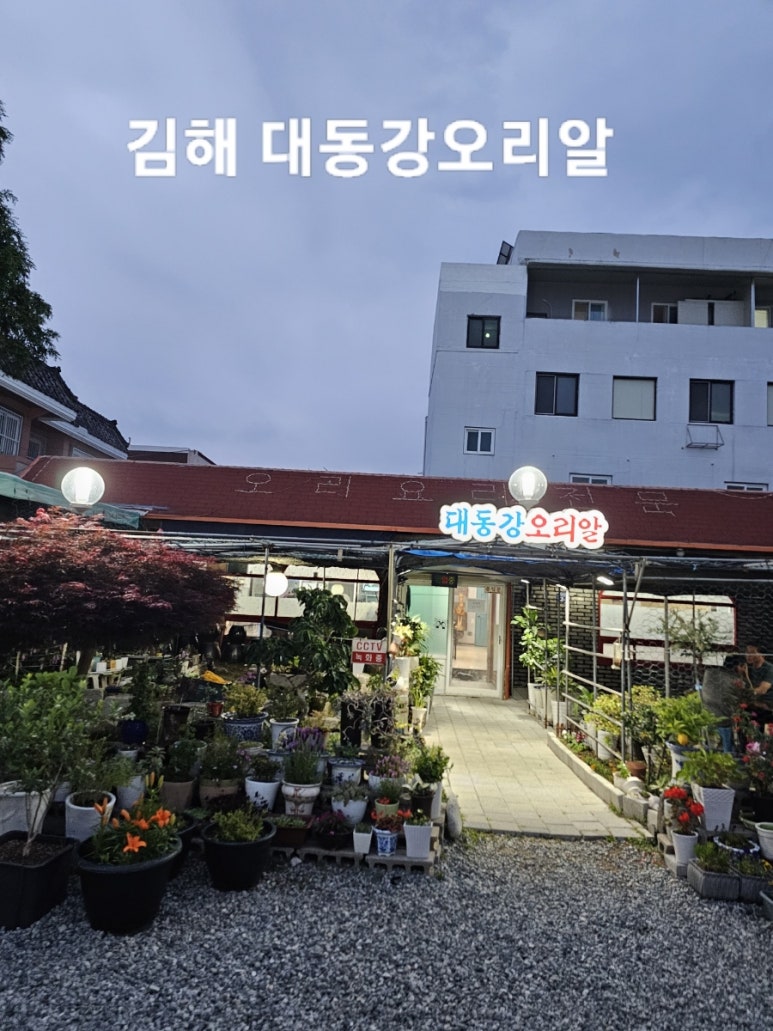 대동강오리알 이미지