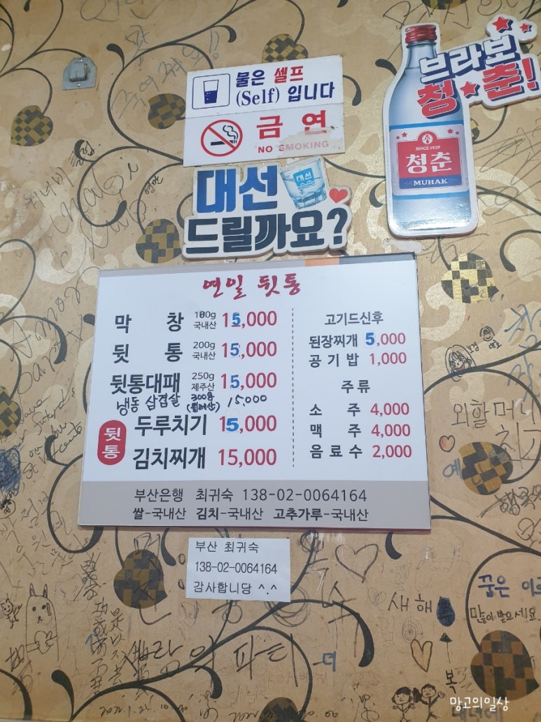 연일 뒷통 이미지