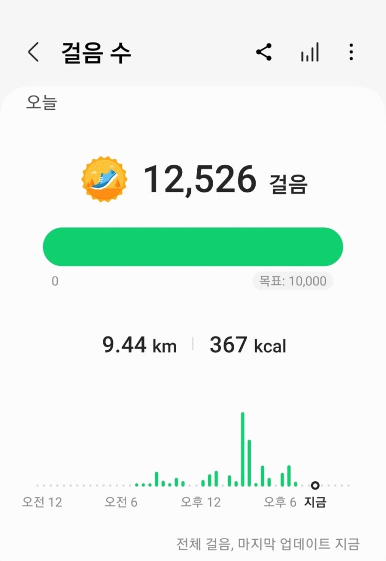 차이킹 이미지