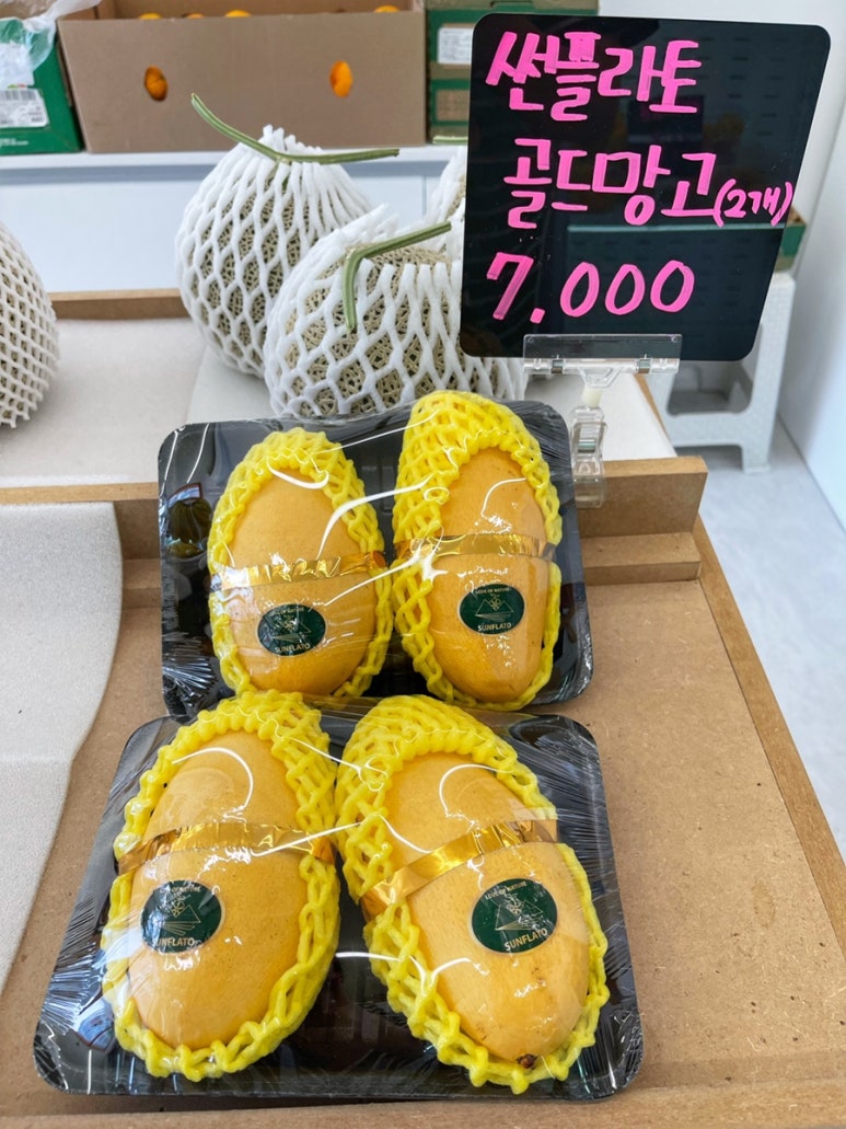 썬플라토 이미지