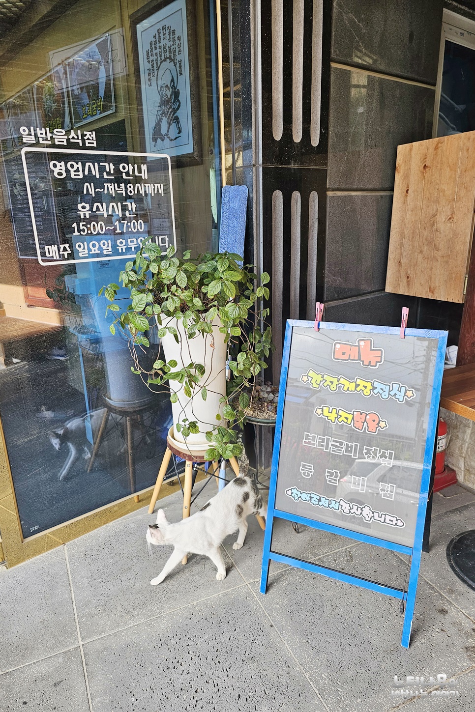 (주)청마루 이미지