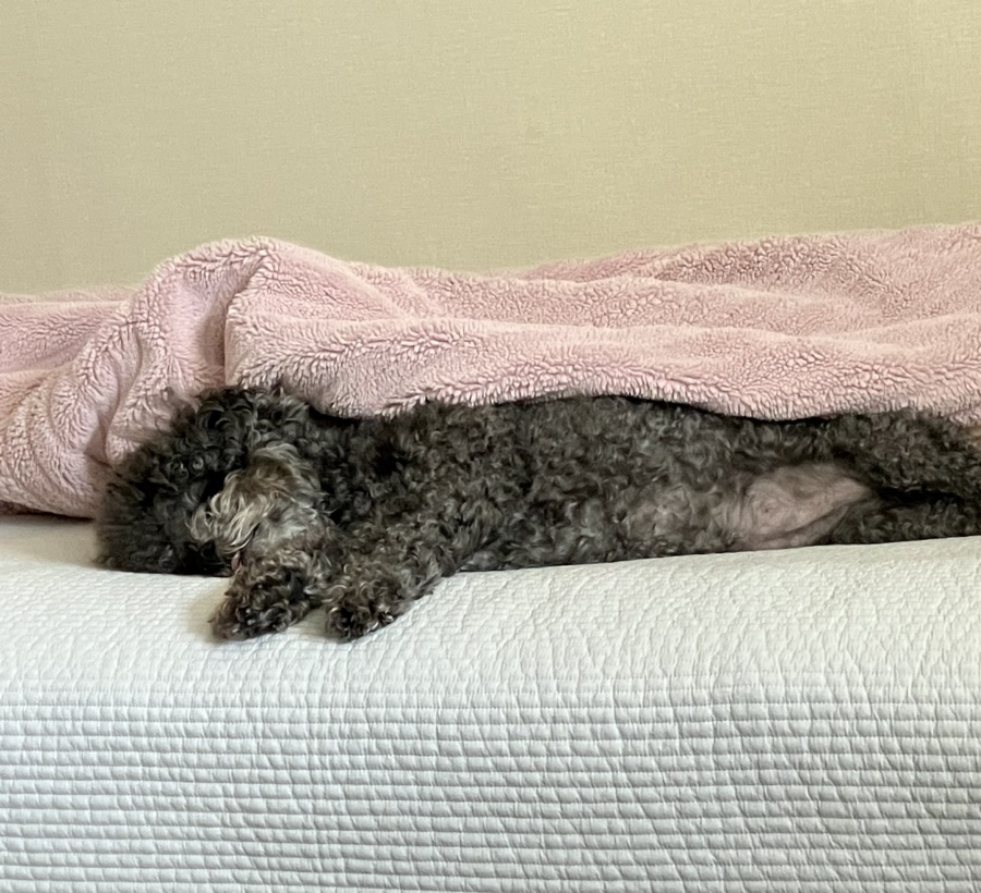카페씨에나 이미지