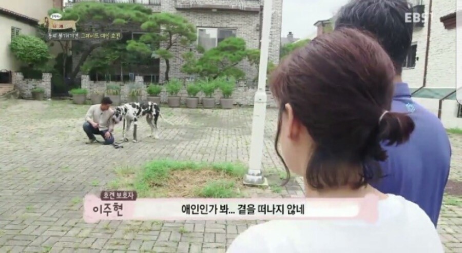 카페하오 이미지