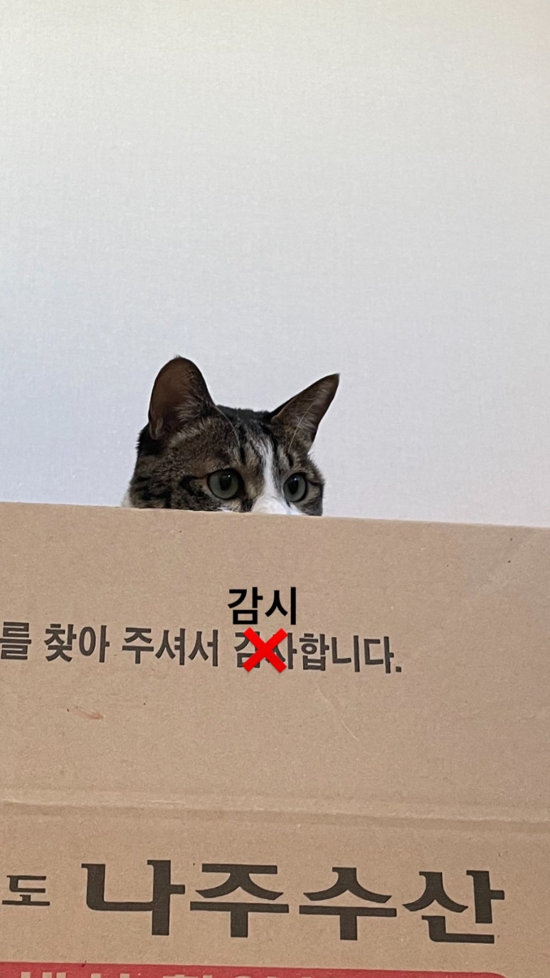 쩡수산 이미지