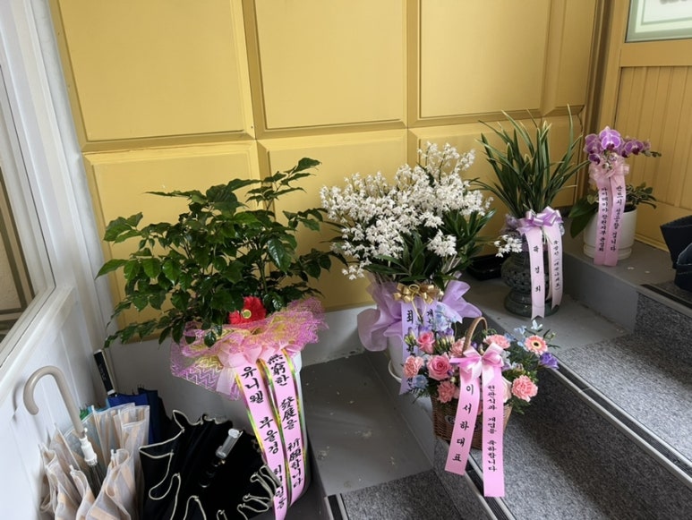 오혜숙생활단식채비지사 이미지
