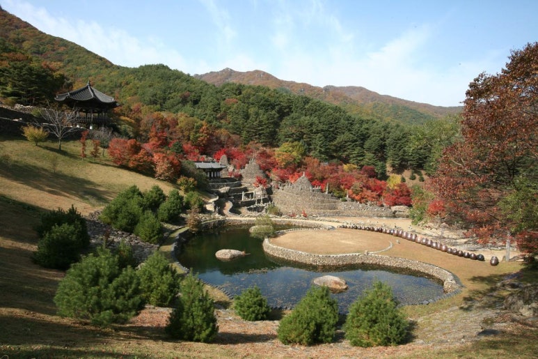 하동약초 이미지