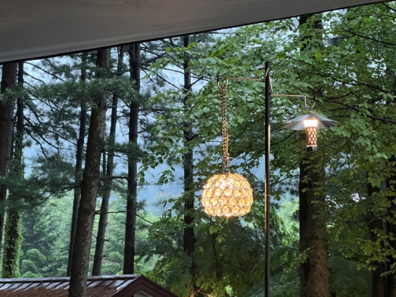 유명산258 이미지