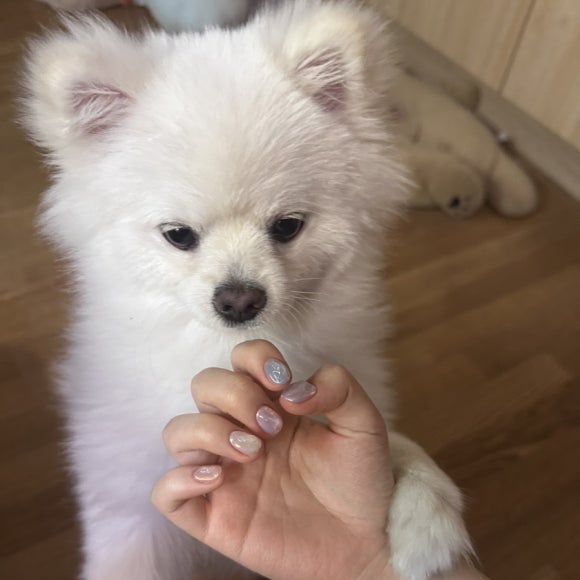 더즈네일 이미지