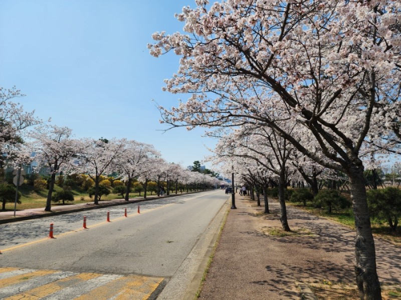 한양대학교 안산캠퍼스 이미지