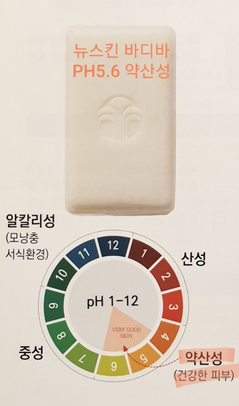 바로바디 이미지