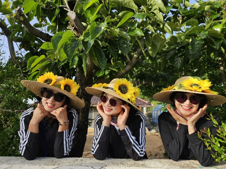 쉼드림 이미지