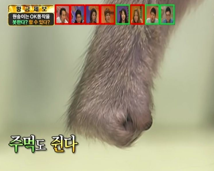 인생김밥 이미지