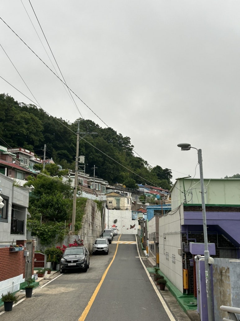 금잔디미용실 이미지