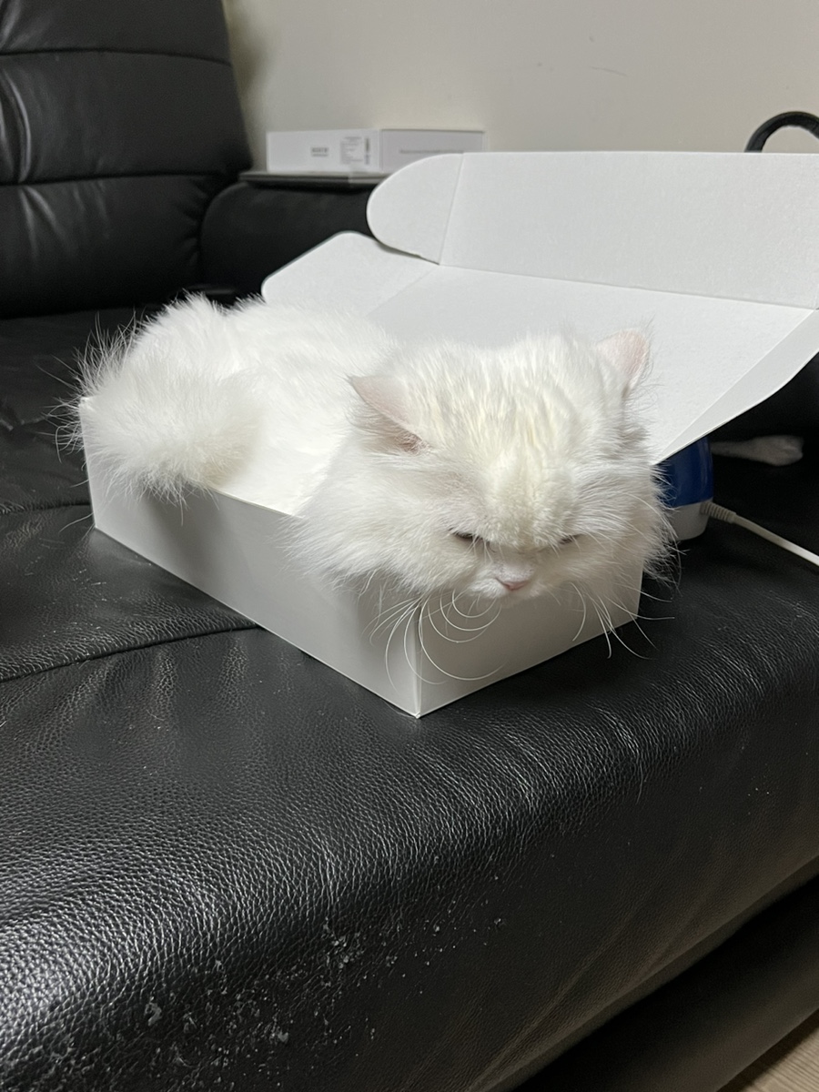 스펀지노래연습장 이미지